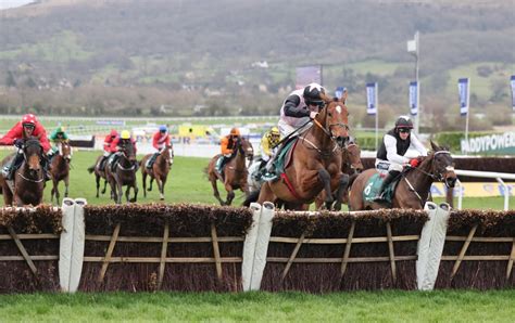 today's race card at cheltenham.